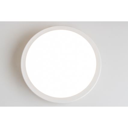 Brilagi - Φωτιστικό οροφής μπάνιου LED PERA LED/18W/230V διάμετρος 22 cm IP65 λευκό