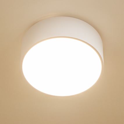 Brilagi - Φωτιστικό οροφής μπάνιου POOL 2xE27/15W/230V Ø 30 εκ. IP54 λευκό