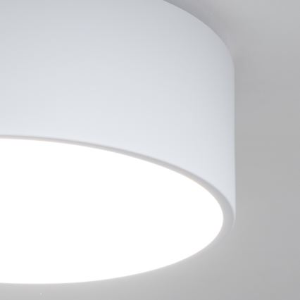 Brilagi - Φωτιστικό οροφής μπάνιου POOL 2xE27/15W/230V Ø 30 εκ. IP54 λευκό