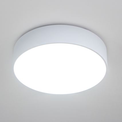 Brilagi - Φωτιστικό οροφής μπάνιου POOL 4xE27/15W/230V Ø 50 cm IP54 λευκό