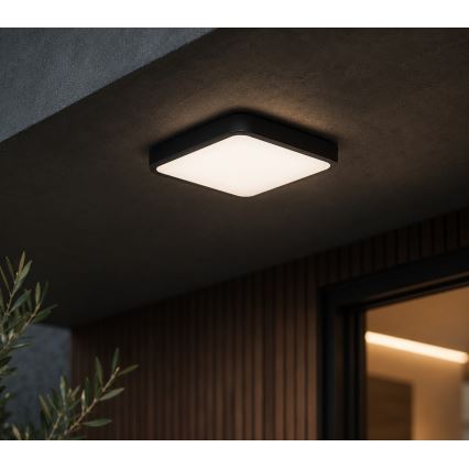 BRILAGI - Φωτιστικό οροφής μπάνιου ZENNA LED/12W/230V 24x24 cm IP44 μαύρο
