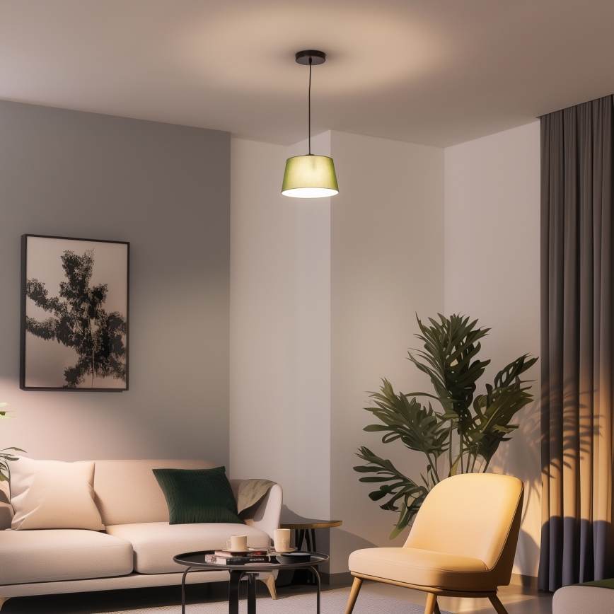 Brilagi - Κρεμαστό φωτιστικό LED CERIA με καλώδιο, 1xE27/40W/230V, διάμ. 25 εκ., πράσινο