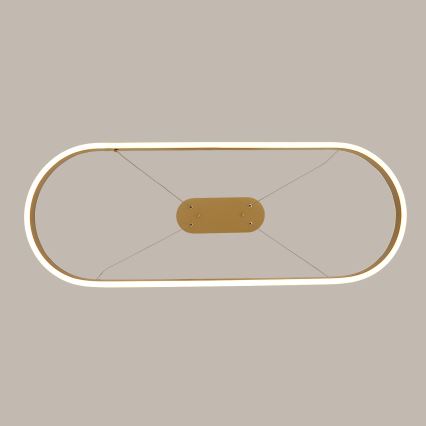Brilagi - Κρεμαστό φωτιστικό PONDIE LED με καλώδιο LED/44W/230V 80x30 cm, χρυσό
