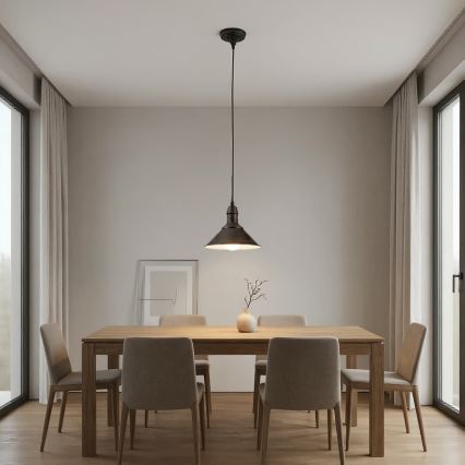 BRILAGI - Κρεμαστό φωτιστικό με καλώδιο FORGE 1xE27/60W/230V Ø 22 cm καφέ