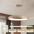 BRILAGI - Κρεμαστό LED φωτιστικό με καλώδιο FALCON WOOD LED/60W/230V 3000/4000/6000K διάμ. 80 cm, ξύλινο