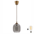 Brilagi - Κρεμαστό LED φωτιστικό με καλώδιο RETRO GLASS 1xE27/60W/230V Ø 14 cm καφέ/καπνιστό γκρι