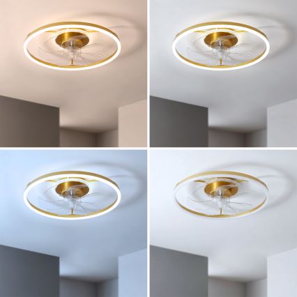 Brilagi - LED Ρυθμιζόμενος ανεμιστήρας οροφής LED/66W/230V 55 cm λευκός/χρυσός + τηλεχειριστήριο