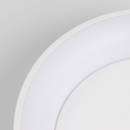 Brilagi - LED Dimmable φωτιστικό οροφής FALCON LED/80W/230V 3000-6500K λευκό + τηλεχειριστήριο