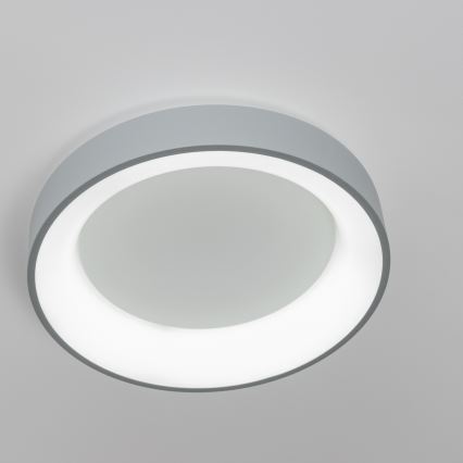 Brilagi - LED Dimmable φωτιστικό οροφής FALCON LED/80W/230V 3000-6500K γκρι + τηλεχειριστήριο