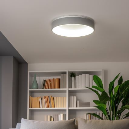 Brilagi - LED Dimmable φωτιστικό οροφής FALCON LED/80W/230V 3000-6500K γκρι + τηλεχειριστήριο