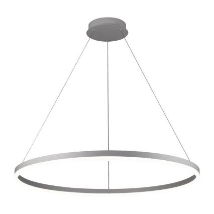 Brilagi - Led Dimmable κρεμαστό φωτιστικό οροφής CIRCLE LED/55W/230V 3000-6500K ασημί + τηλεχειριστήριο