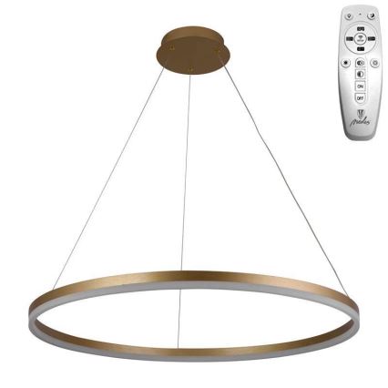 Brilagi - Led Dimmable κρεμαστό φωτιστικό οροφής CIRCLE LED/55W/230V 3000-6500K χρυσό + τηλεχειριστήριο