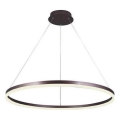 Brilagi - Led Dimmable κρεμαστό φωτιστικό οροφής CIRCLE LED/55W/230V 3000-6500K καφέ + τηλεχειριστήριο