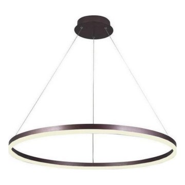 Brilagi - Led Dimmable κρεμαστό φωτιστικό οροφής CIRCLE LED/55W/230V 3000-6500K καφέ + τηλεχειριστήριο