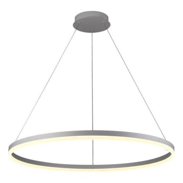 Brilagi - Led Dimmable κρεμαστό φωτιστικό οροφής CIRCLE LED/55W/230V 3000-6500K ασημί + τηλεχειριστήριο