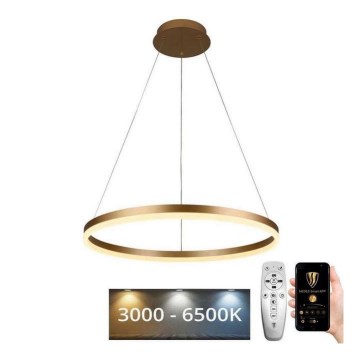Brilagi - Led Dimmable κρεμαστό φωτιστικό οροφής CIRCLE LED/42W/230V 3000-6500K + τηλεχειριστήριο