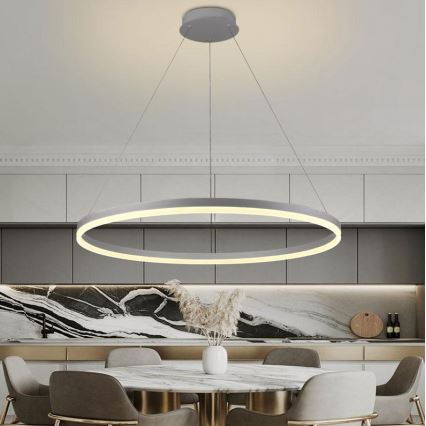 Brilagi - Led Dimmable κρεμαστό φωτιστικό οροφής CIRCLE LED/55W/230V 3000-6500K ασημί + τηλεχειριστήριο