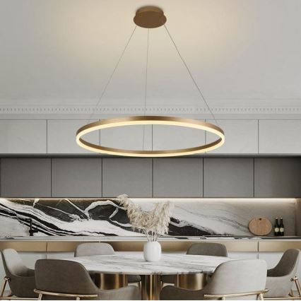 Brilagi - Led Dimmable κρεμαστό φωτιστικό οροφής CIRCLE LED/55W/230V 3000-6500K χρυσό + τηλεχειριστήριο