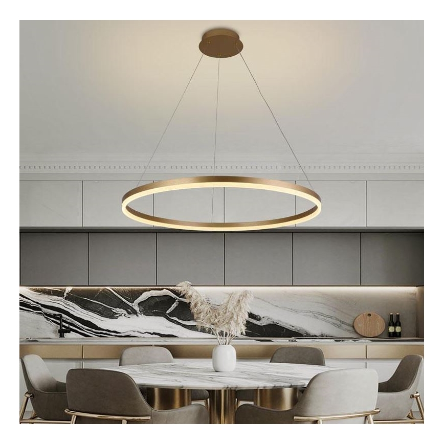 Brilagi - Led Dimmable κρεμαστό φωτιστικό οροφής CIRCLE LED/55W/230V 3000-6500K χρυσό + τηλεχειριστήριο