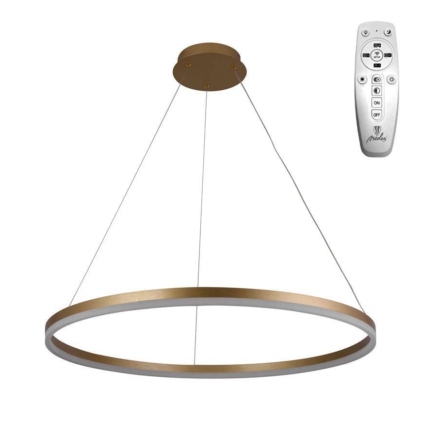 Brilagi - Led Dimmable κρεμαστό φωτιστικό οροφής CIRCLE LED/55W/230V 3000-6500K χρυσό + τηλεχειριστήριο