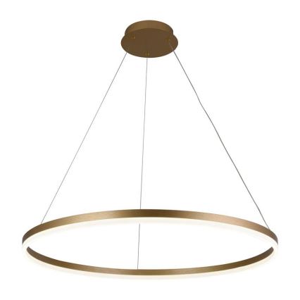 Brilagi - Led Dimmable κρεμαστό φωτιστικό οροφής CIRCLE LED/55W/230V 3000-6500K χρυσό + τηλεχειριστήριο