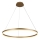 Brilagi - Led Dimmable κρεμαστό φωτιστικό οροφής CIRCLE LED/55W/230V 3000-6500K χρυσό + τηλεχειριστήριο