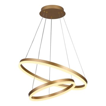 Brilagi - Led Dimmable κρεμαστό φωτιστικό οροφής CIRCLE LED/70W/230V 3000-6500K χρυσό + τηλεχειριστήριο