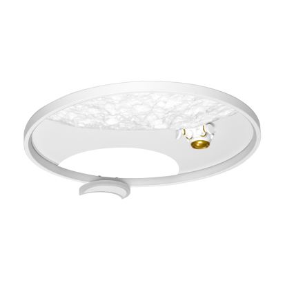 Brilagi - LED Dimmable φωτιστικό οροφής ASTRO LED/20W/230V 3000/4000/6000K + τηλεχειριστήριο