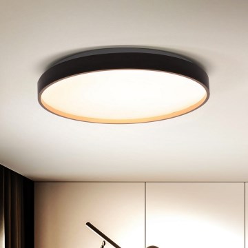 Brilagi - LED Dimmable φωτιστικό οροφής CALA LED/48W/230V 3000-6500K διάμετρος 38 cm + τηλεχειριστήριο