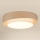 Brilagi - LED Dimmable φωτιστικό οροφής DOVER SHINE LED/24W/230V 3000/4000/6500K γκρι/κρεμ + τηλεχειριστήριο