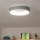 Brilagi - LED Dimmable φωτιστικό οροφής FALCON LED/40W/230V 3000-6500K γκρι + τηλεχειριστήριο