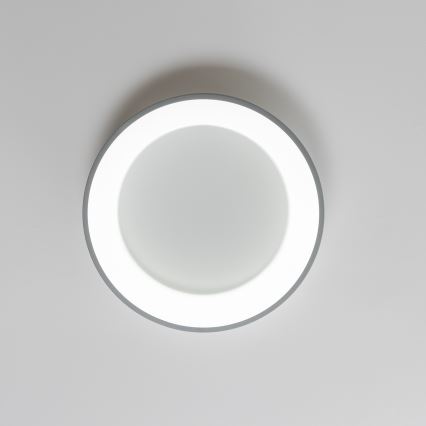Brilagi - LED Dimmable φωτιστικό οροφής FALCON LED/80W/230V 3000-6500K γκρι + τηλεχειριστήριο
