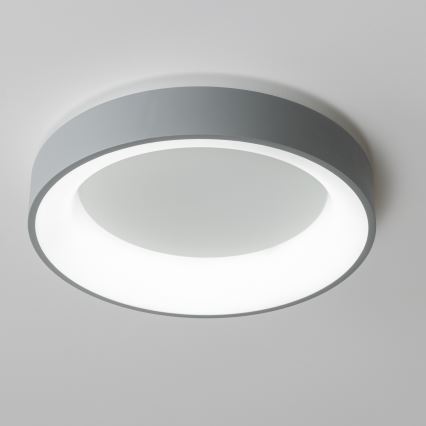 Brilagi - LED Dimmable φωτιστικό οροφής FALCON LED/80W/230V 3000-6500K γκρι + τηλεχειριστήριο
