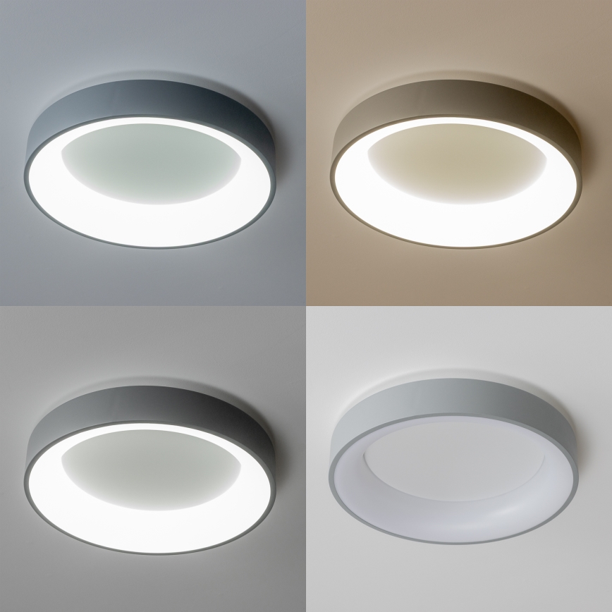 Brilagi - LED Dimmable φωτιστικό οροφής FALCON LED/40W/230V 3000-6500K γκρι + τηλεχειριστήριο