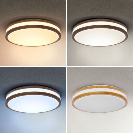 Brilagi - LED Dimmable φωτιστικό οροφής MOLINA LED/48W/230V 3000-6500K δρυς διάμετρος 38 cm + τηλεχειριστήριο