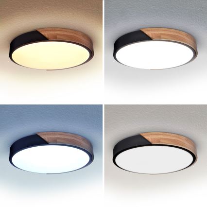 Brilagi - LED Dimmable φωτιστικό οροφής PILANA LED/48W/230V 3000-6500K δρυς διάμετρος 40 cm + τηλεχειριστήριο