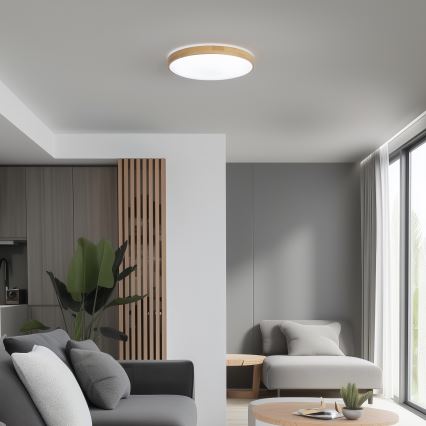 Brilagi - LED Dimmable φωτιστικό οροφής PINE LED/24W/230V + τηλεχειριστήριο