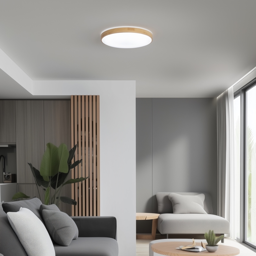 Brilagi - LED Dimmable φωτιστικό οροφής PINE LED/24W/230V + τηλεχειριστήριο