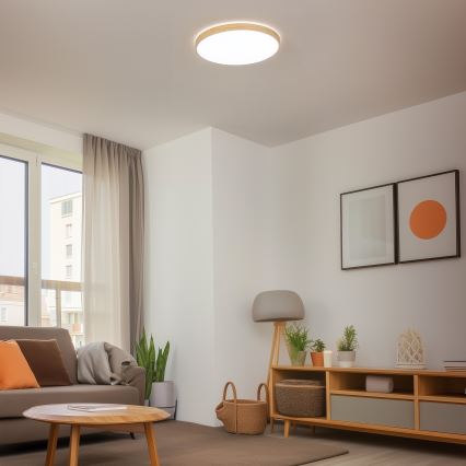 Brilagi - LED Dimmable φωτιστικό οροφής PINE LED/60W/230V + τηλεχειριστήριο
