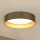 Brilagi - LED Dimmable φωτιστικό οροφής VEGAS SHINE LED/24W/230V 3000/4000/6500K straw καφέ/χρυσό + τηλεχειριστήριο