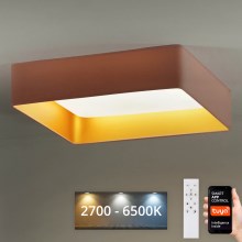 Brilagi - LED Dimmable φωτιστικό οροφής VELVET SQUARE SMART LED/36W/230V 2700-6500K Wi-Fi Tuya + τηλεχειριστήριο ροζ