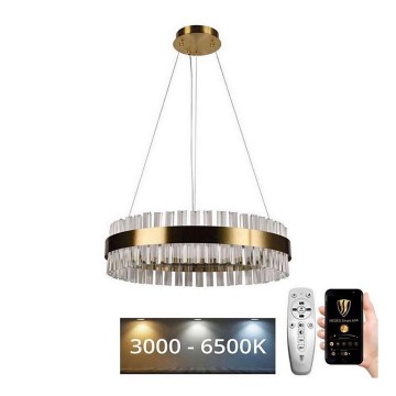 Brilagi - LED Dimming κρεμαστό φωτιστικό οροφής HALO LED/40W/230V + τηλεχειριστήριο