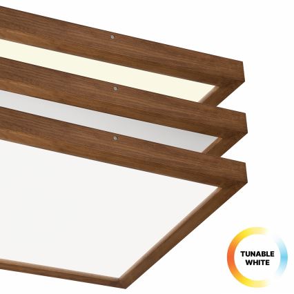 Brilagi - Φωτιστικό οροφής μπάνιου dimming LED WOODY FRAME LED/50W/230V δρυς κερασιά 60x60 cm 3000-6000K IP44 + τηλεχειριστήριο