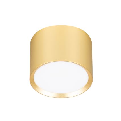 BRILAGI - LED Φωτιστικό σποτ SMOOTH 1xGX53/15W/230V 60x82 mm χρυσό