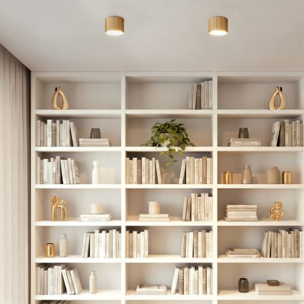 Brilagi - LED Φωτιστικό σποτ STRIPY 1xGX53/15W/230V χρυσό