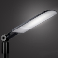 Brilagi - LED φωτιστικό δρόμου URBANLIGHT LED/250W/230V μαύρο IP65