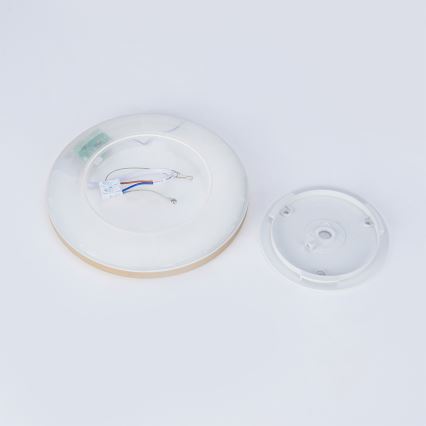 Brilagi - Φωτιστικό οροφής μπάνιου LED ULTRA SLIM 12W/230V διάμ. 22,5 εκ. χρυσό IP54