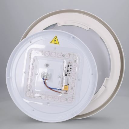 Brilagi - LED φωτιστικό οροφής MATTEO LED/24W/230V διάμ. 31 cm πράσινο