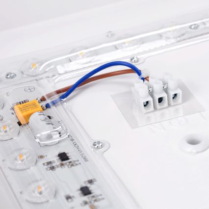 Brilagi - LED φωτιστικό οροφής PILANA LED/24W/230V δρυς/λευκό 32x32 cm