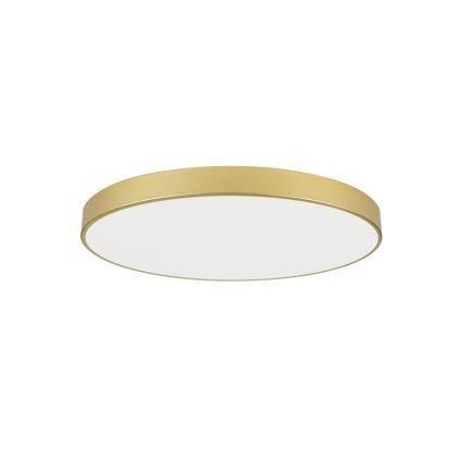 Brilagi - LED φωτιστικό οροφής POOL LED/100W/230V 3000/4000/6000K διάμ. 80 cm χρυσό